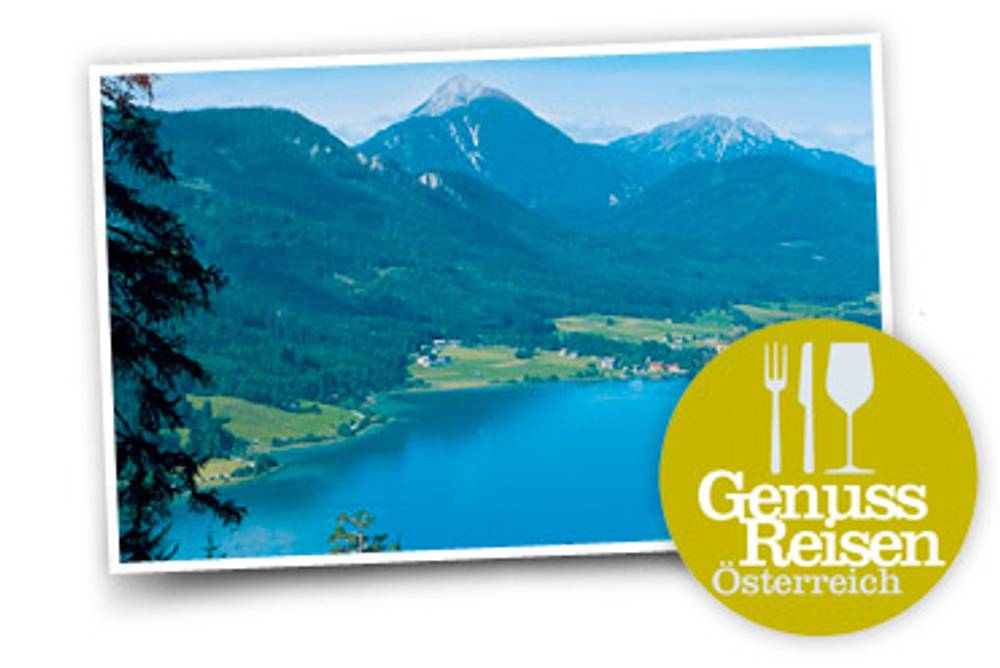 Lassen Sie Freunde und Bekannte für Ihr Rezept abstimmen und gewinnen Sie Lassen Sie Freunde und Bekannte für Ihr Rezept abstimmen und gewinnen Sie