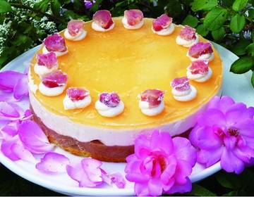 Rhabarber-Vanille-Torte Rhabarber-Vanille-Torte