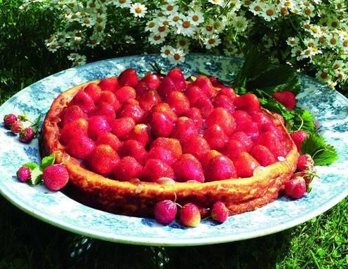 Erdbeerkuchen auf Topfenboden Rezept 