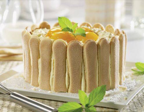Topfen Malakoff Torte Rezept