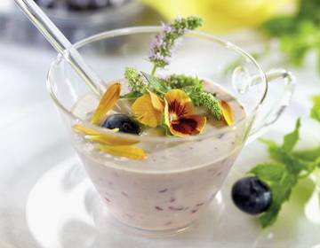 Topfencreme mit Heidelbeeren und Banane Topfencreme mit Heidelbeeren und Banane