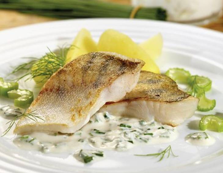 Zanderfilet in Schnittlauch-Topfensauce Zanderfilet in Schnittlauch-Topfensauce