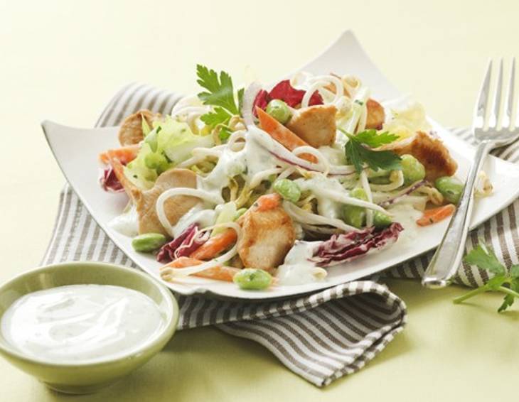 Fitness-Salat mit Putenstreifen und Sojasprossen Fitness-Salat mit Putenstreifen und Sojasprossen