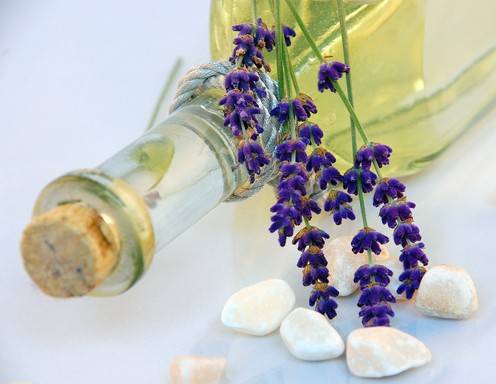 Lavendelsirup Rezept