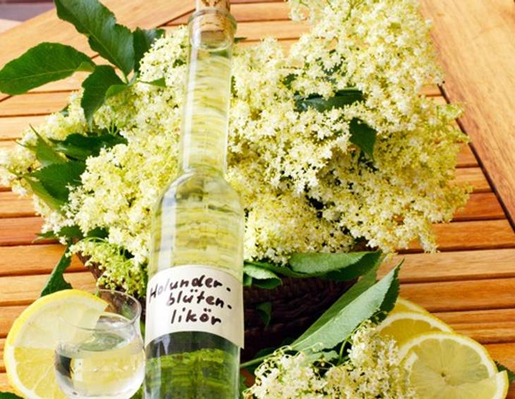 Holunderblütenlikör Holunderblütenlikör