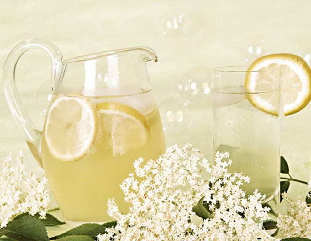 Klassischer Holunderblütensirup Klassischer Holunderblütensirup