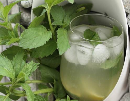 Die besten Minze Rezepte