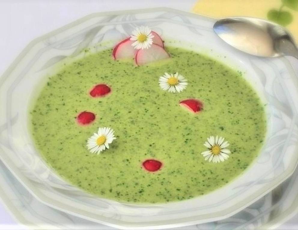 Radieschenblätter Suppe mit Gänseblümchen Radieschenblätter Suppe mit Gänseblümchen