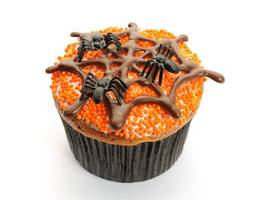 <p>Ein Halloween Cupcake - gruselig mit orangem Zuckerguss und Schokospinne.</p>