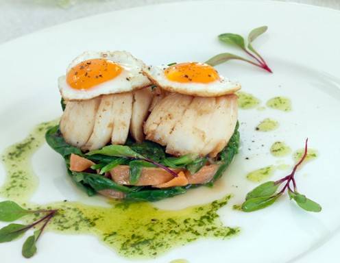 Jakobsmuscheln mit Wachteleiern auf Blattspinat Rezept - ichkoche.de Jakobsmuscheln mit Wachteleiern auf Blattspinat Rezept - ichkoche.de