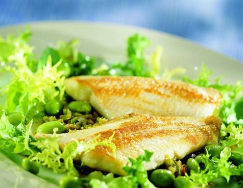 Gebratenes Forellenfilet auf Blattsalat mit Soja Vinaigrette Rezept