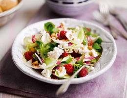 Ziegenkäse-Salat mit Himbeeren Ziegenkäse-Salat mit Himbeeren
