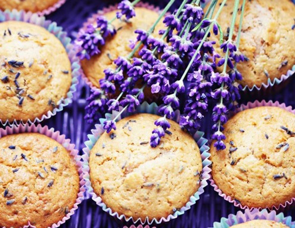Lavendel-Muffins Lavendel-Muffins