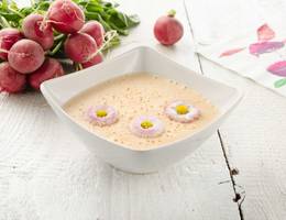 Radieschencremesuppe mit Frühlingsblümchen