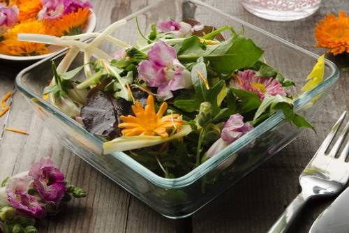 Blumen & Blüten Rezepte Blumen & Blüten Rezepte