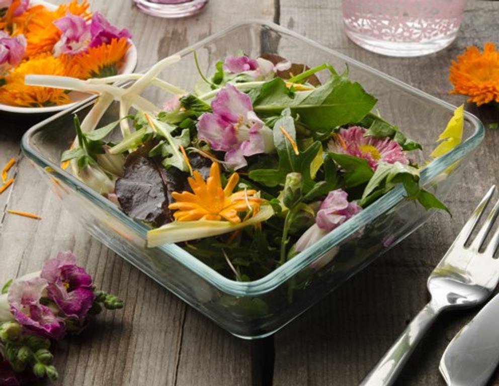 Blumen & Blüten Rezepte Blumen & Blüten Rezepte