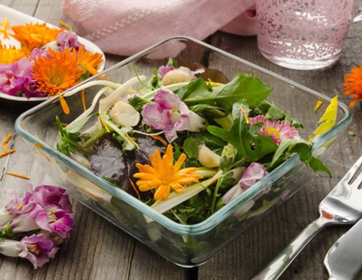 Nussiger Löwenzahnsalat Nussiger Löwenzahnsalat