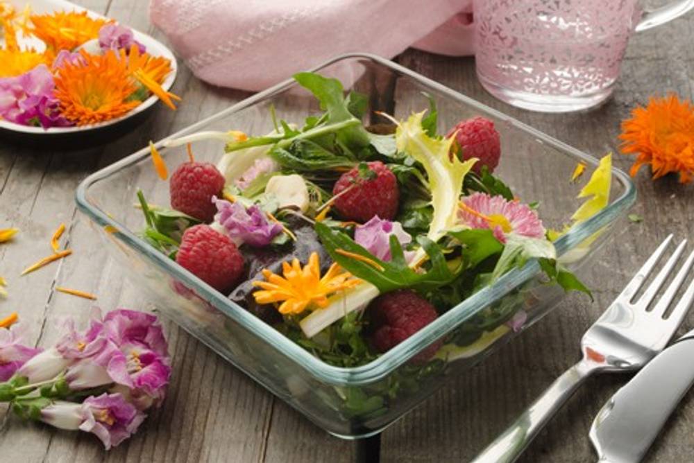 Kochen mit Blüten und Blumen