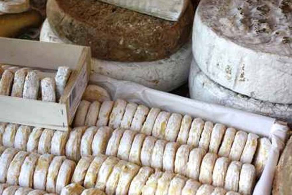 Ziegenkäse Vielfalt  Ziegenkäse Vielfalt