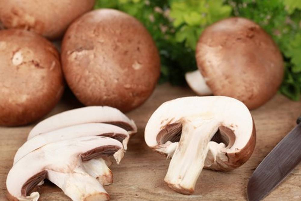 Champignons Rezepte