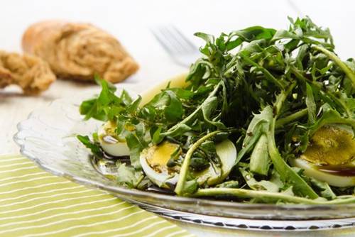 Image/Video: 	Rezept für Löwenzahnsalat mit Eiern