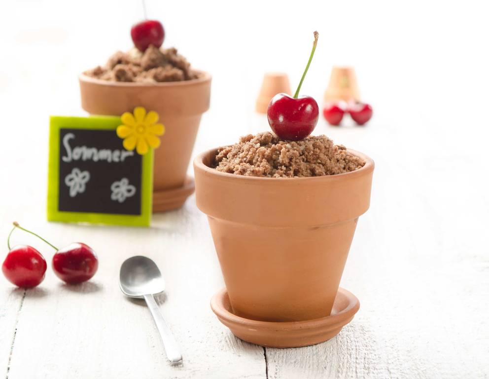 Schoko-Kirschkuchen im Blumentopf Schoko-Kirschkuchen im Blumentopf