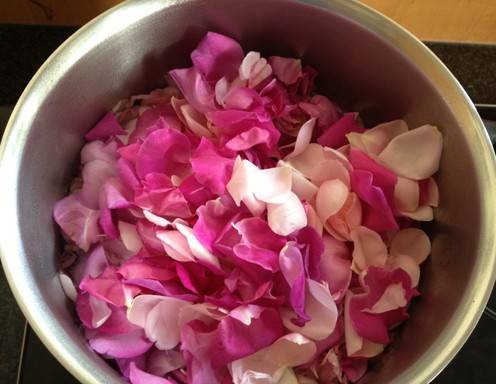 Rosensirup Rezept