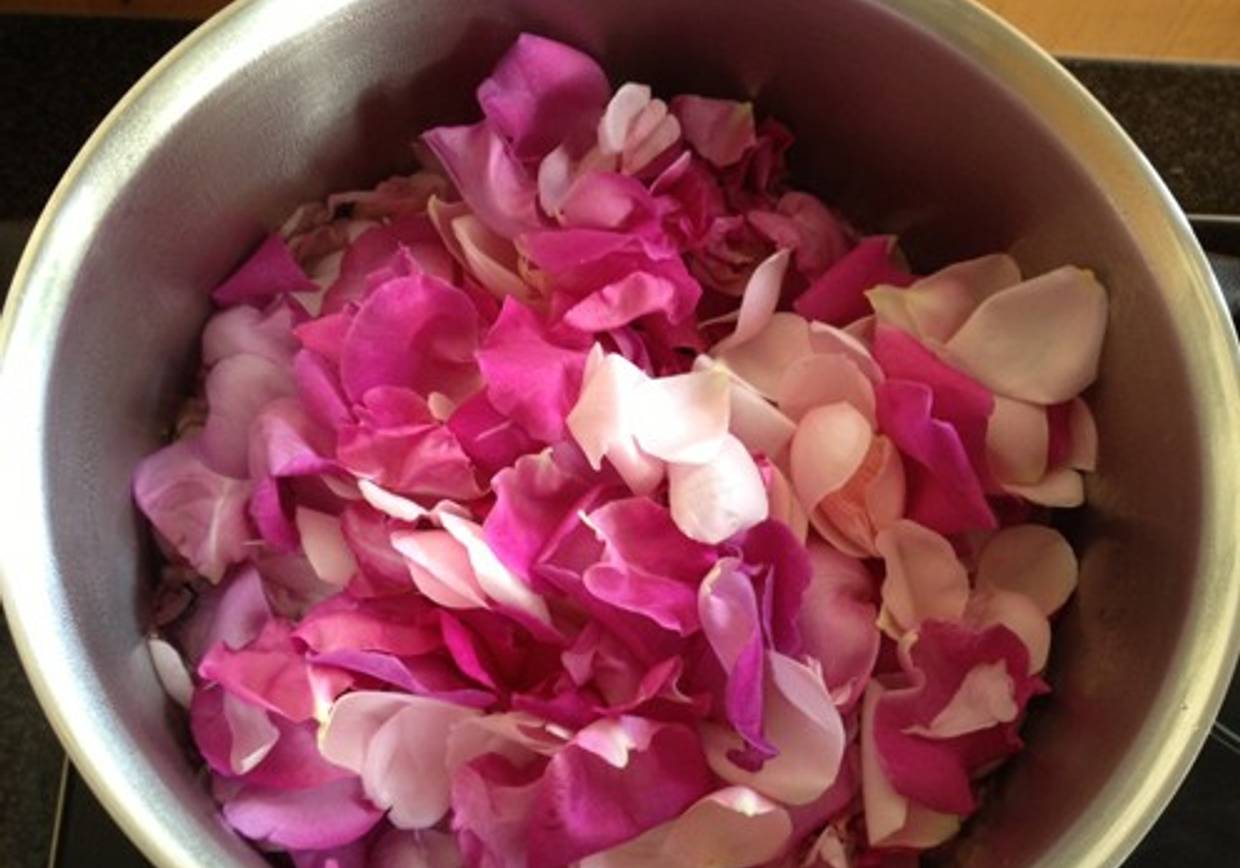 Rosensirup Rezept - ichkoche.at Rosensirup Rezept - ichkoche.at