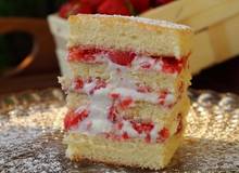 Erdbeercreme Biskuit Erdbeercreme Biskuit