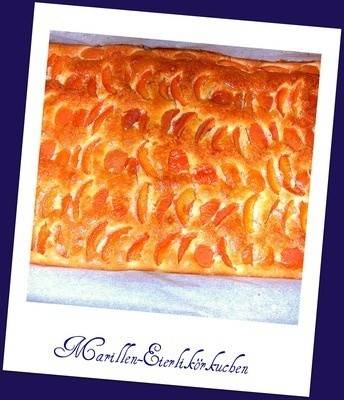Marillen-Eierlikörkuchen Rezept - ichkoche.de