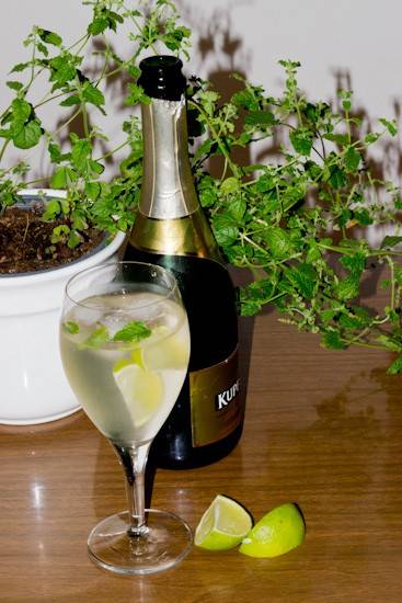 Hugo Rezept ichkoche.de