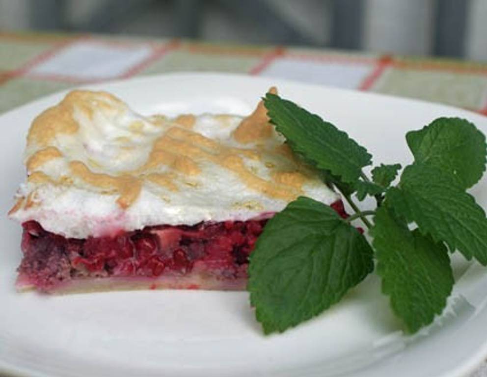 Ribisel Weiher Ribisel Weiher