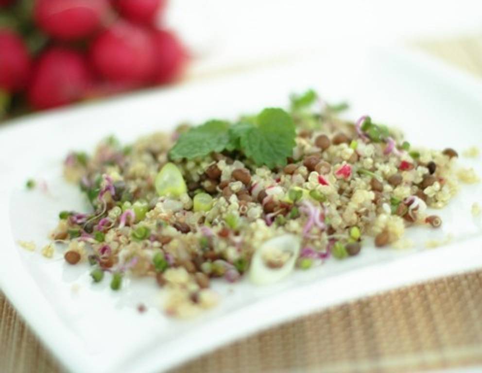 Quinoa-Linsen-Salat mit Radieschen und Zitronenmelisse