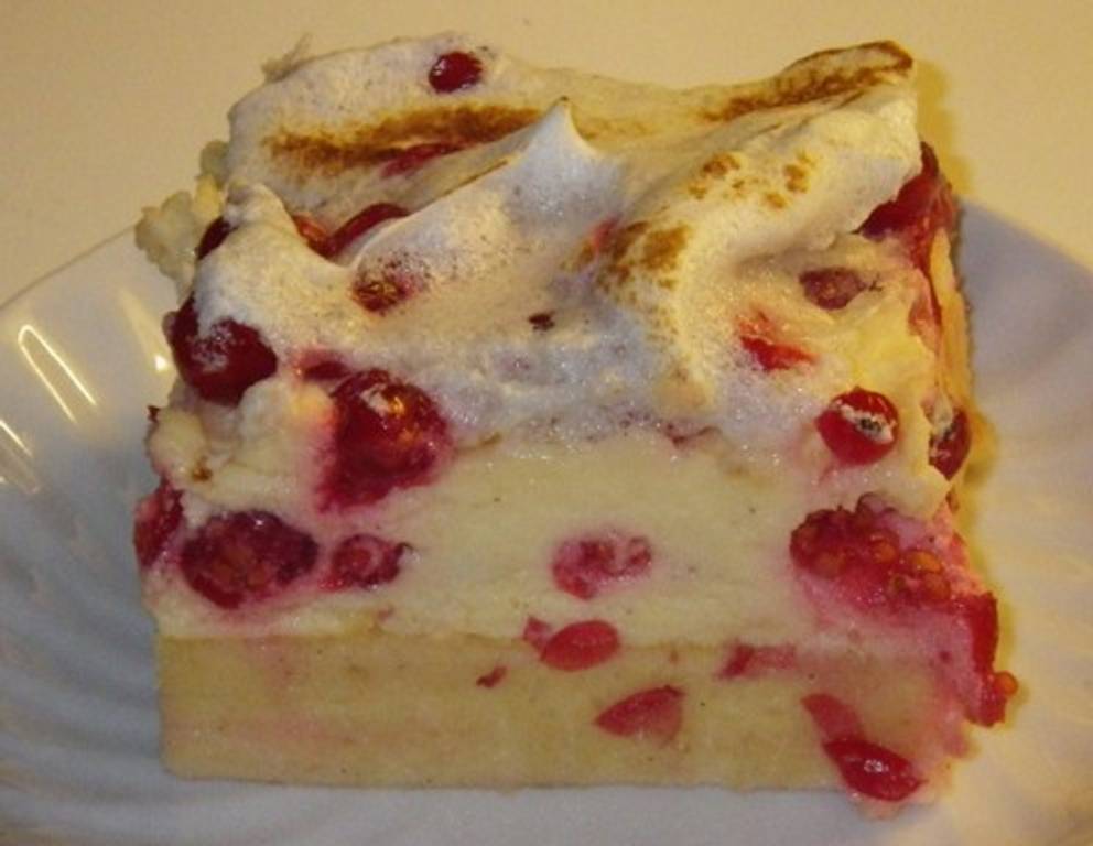 Ribiselschaumschnitte mit Vanillecreme Ribiselschaumschnitte mit Vanillecreme