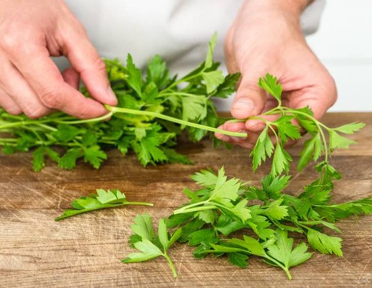 Die besten Petersilie Rezepte - ichkoche.de