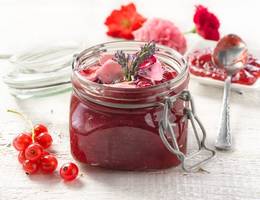 Rotes Ribiselgelee mit Lavendel Rotes Ribiselgelee mit Lavendel