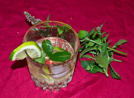 Wodka Lemon mit Minze Rezept - ichkoche.ch
