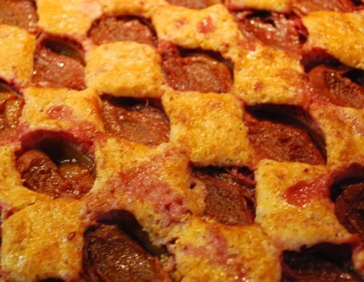 Zwetschken-Joghurt-Kuchen Zwetschken-Joghurt-Kuchen