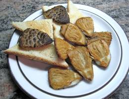 Gebratene Parasole Gebratene Parasole