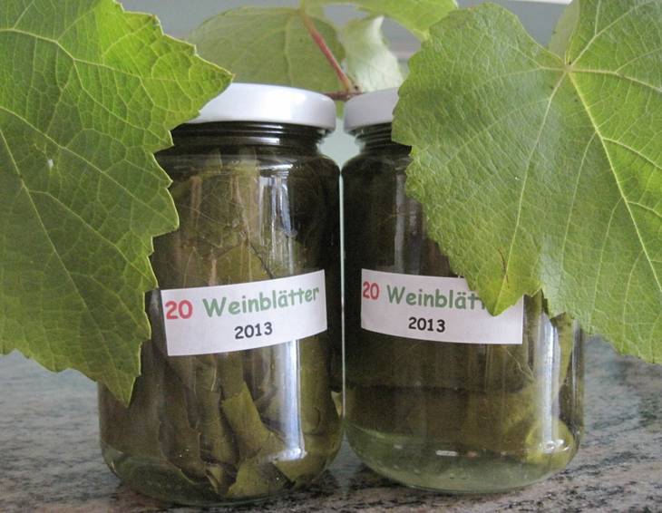 Eingelegte Weinblätter Eingelegte Weinblätter