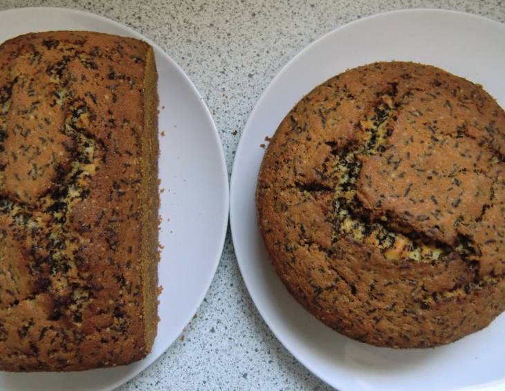 Ameisenkuchen Ameisenkuchen