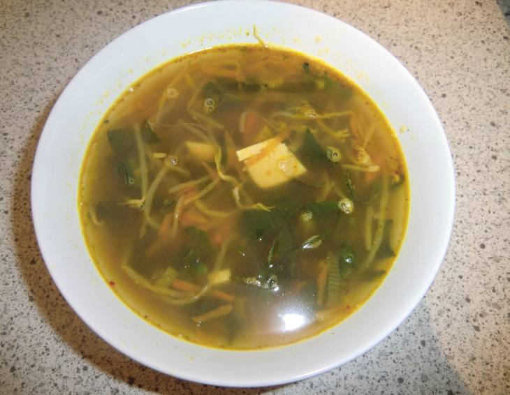 Chinesische Tofu-Gemüsesuppe