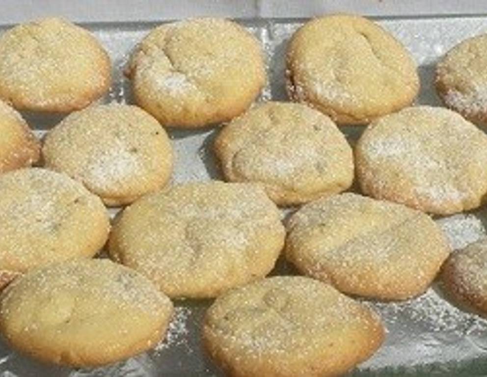 Rosentalerchen Rosentalerchen