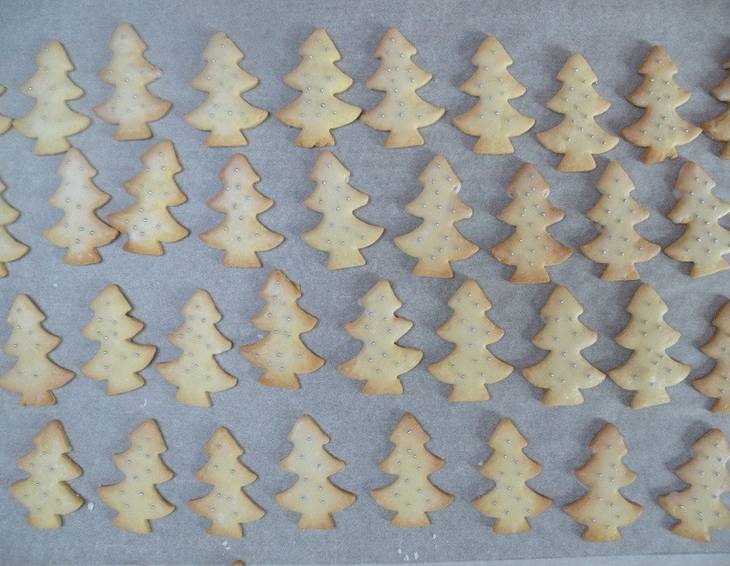 Anisbäumchen Anisbäumchen