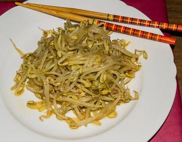 Sojasprossensalat Sojasprossensalat