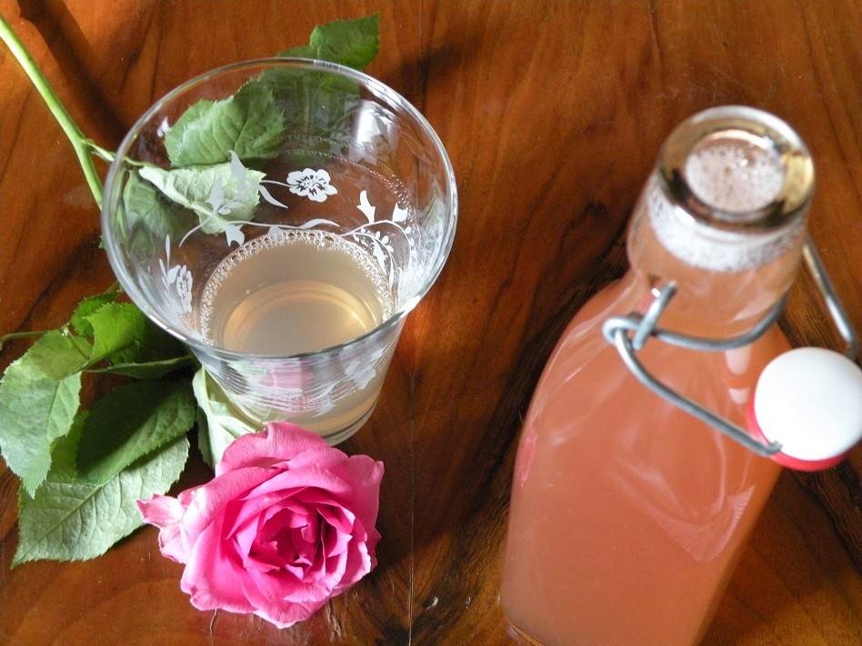 Rosensirup Rezept - ichkoche.ch Rosensirup Rezept - ichkoche.ch