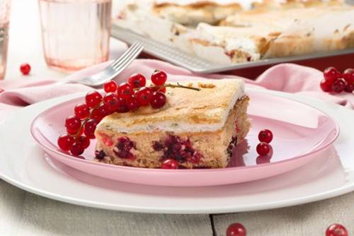 Die besten Ribisel Rezepte Die besten Ribisel Rezepte