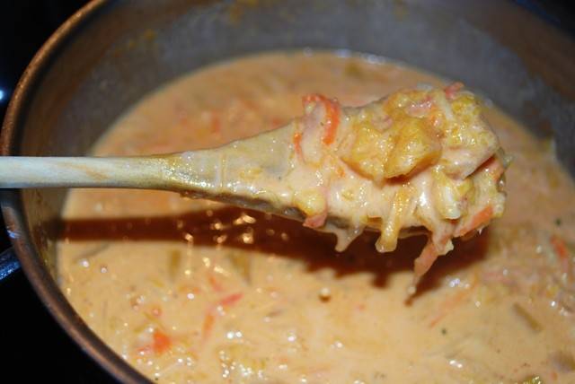 Scharfe Kürbis-Kokos-Sauce Rezept