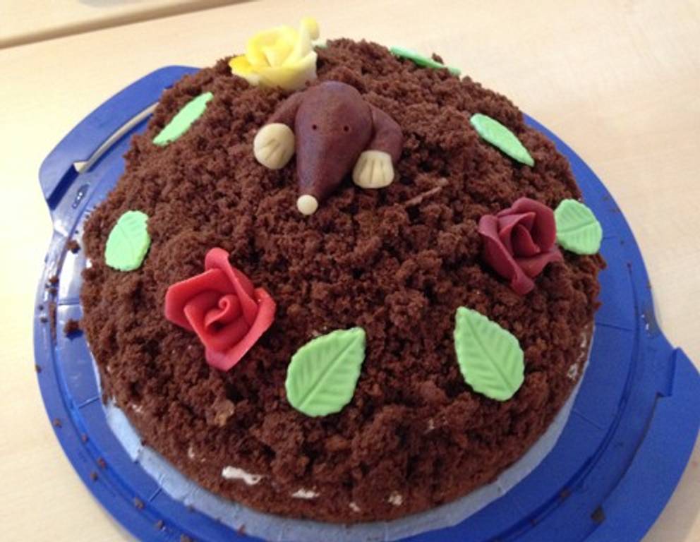 Maulwurftorte Maulwurftorte