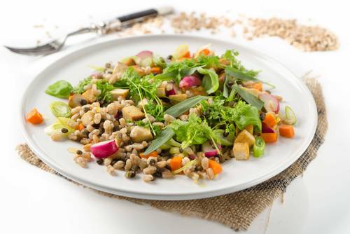 Die besten Vollwert Rezepte Die besten Vollwert Rezepte